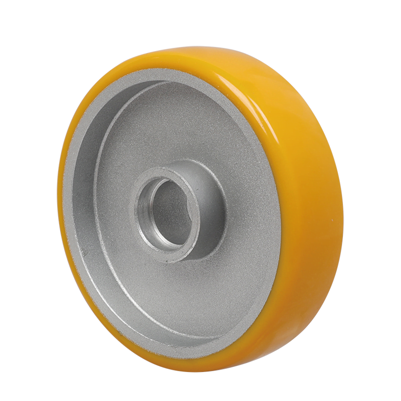 Guangzhou EDL Caster Co., Ltd.